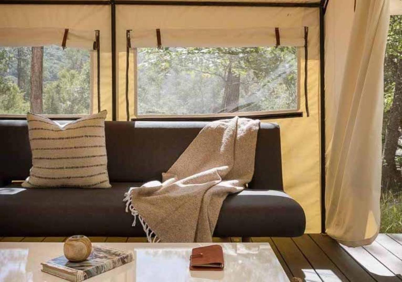Autocamp Catskills Saugerties Dış mekan fotoğraf